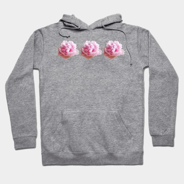 Three Pink Peony Flower Photos Hoodie by ellenhenryart